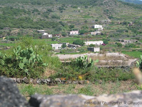 Pantelleria contrade: valle coltivata