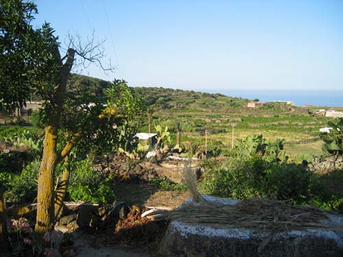 Pantelleria: Dammusi La Palma panorama