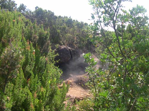Pantelleria favare nel verde