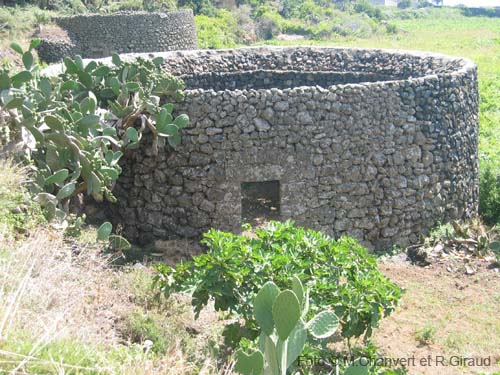 Pantelleria: giardino tipico in pietra