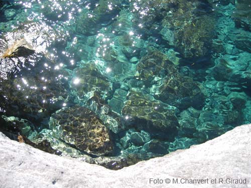 Pantelleria mare trasparente